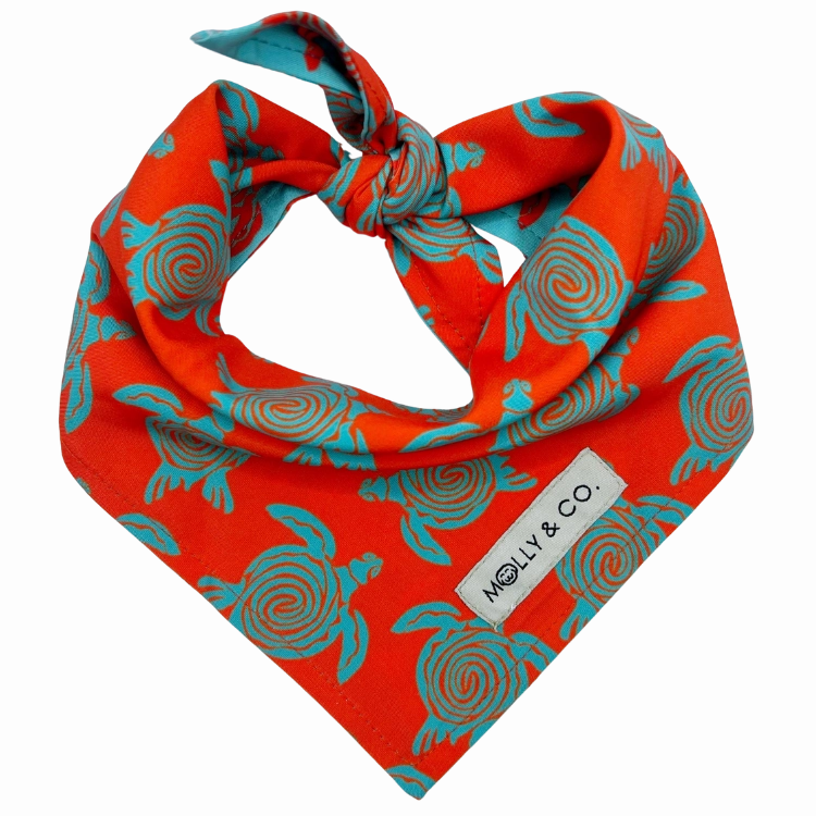 Turtle Trails - Reversible Dog Bandana