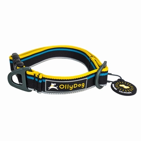 Urban Journey Reflective Collar | Reflective Dog Collar
