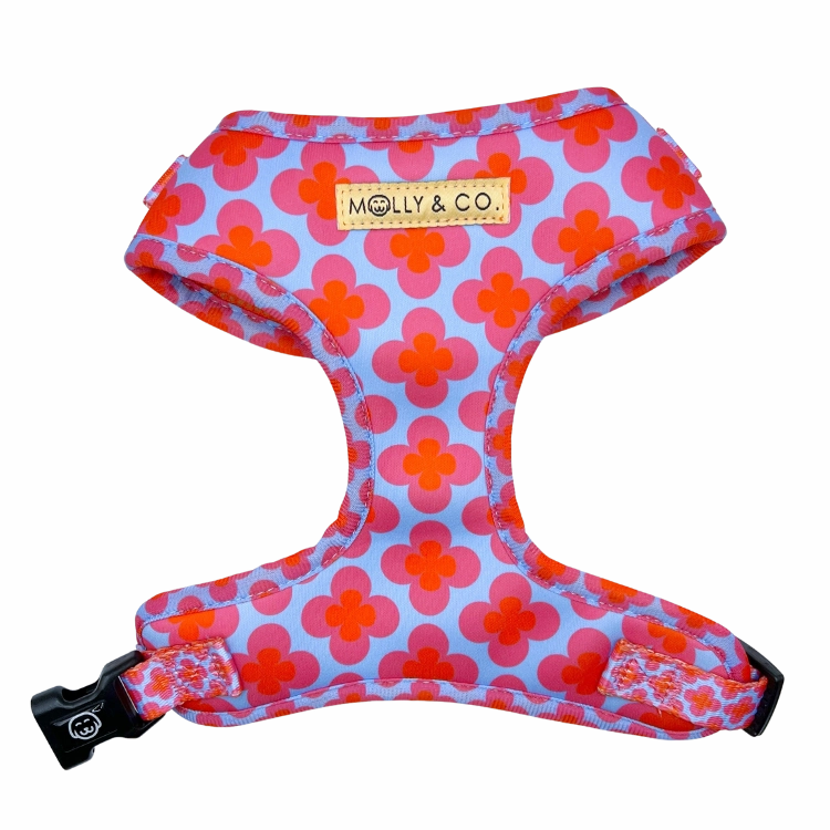 Venezia - Adjustable Dog Harness