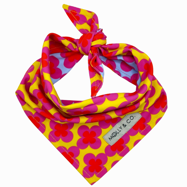 Venezia - Reversible Dog Bandana