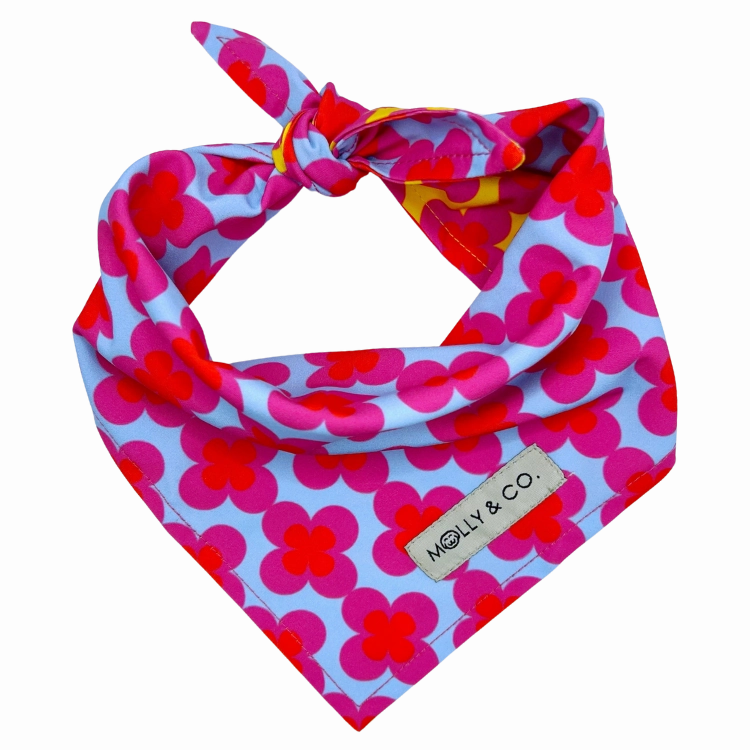 Venezia - Reversible Dog Bandana
