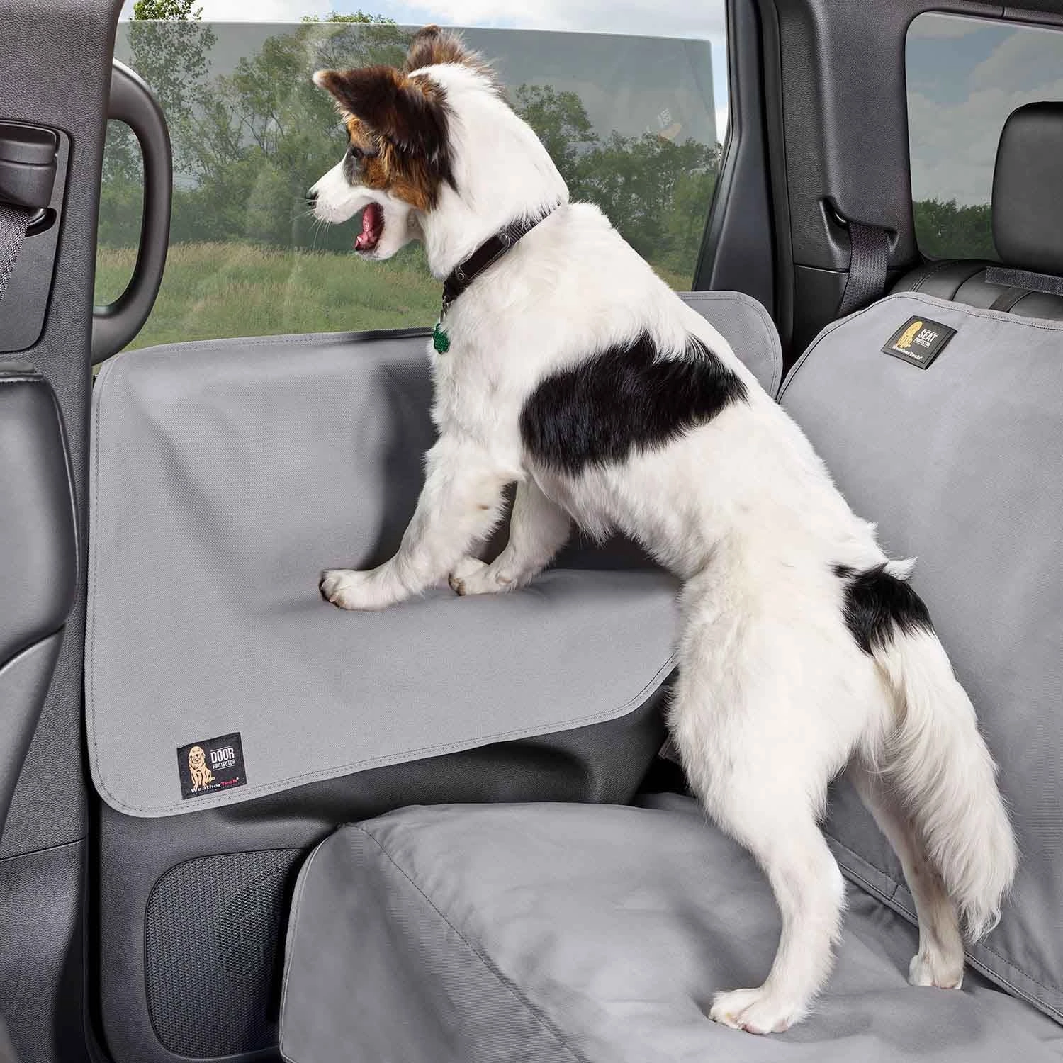 WeatherTech Door Protector, Set of 2
