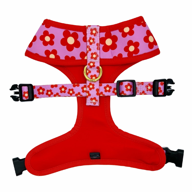 Wildflower - Reversible Dog Harness