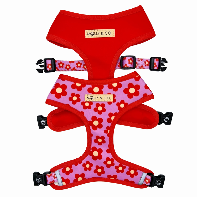 Wildflower - Reversible Dog Harness